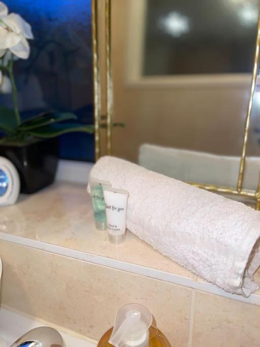Stylish Cosy Studio Apartment Gravesend Exteriör bild